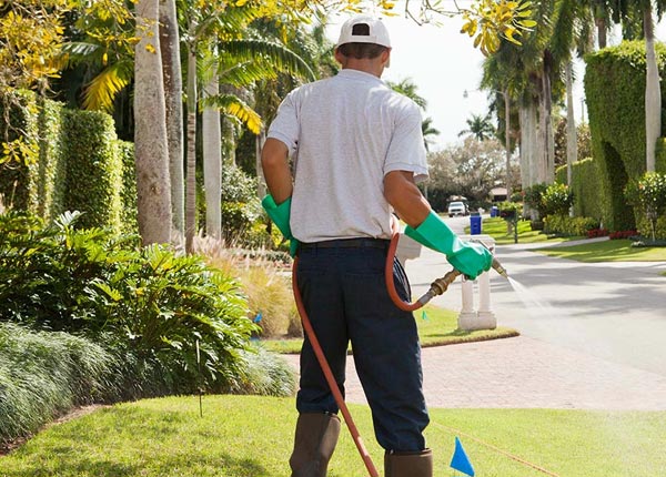 About Kernville CA Pest Control